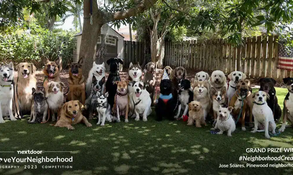 A Photo of Over 30 Dogs Posing For The Camera Wins National Contest