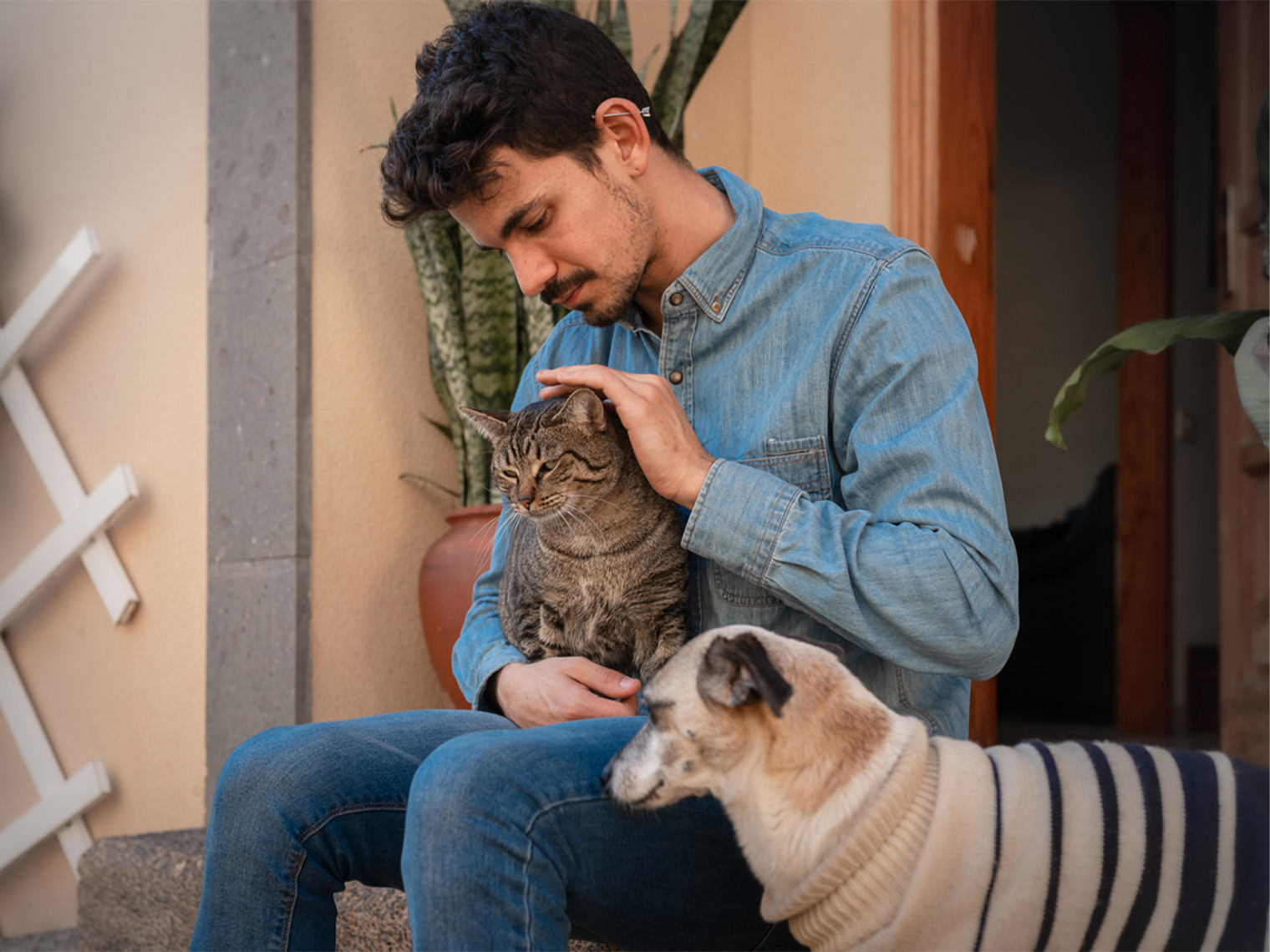 Man petting cat while dog sits by and watching