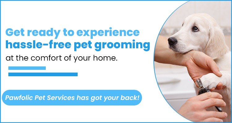 Pet Grooming Services