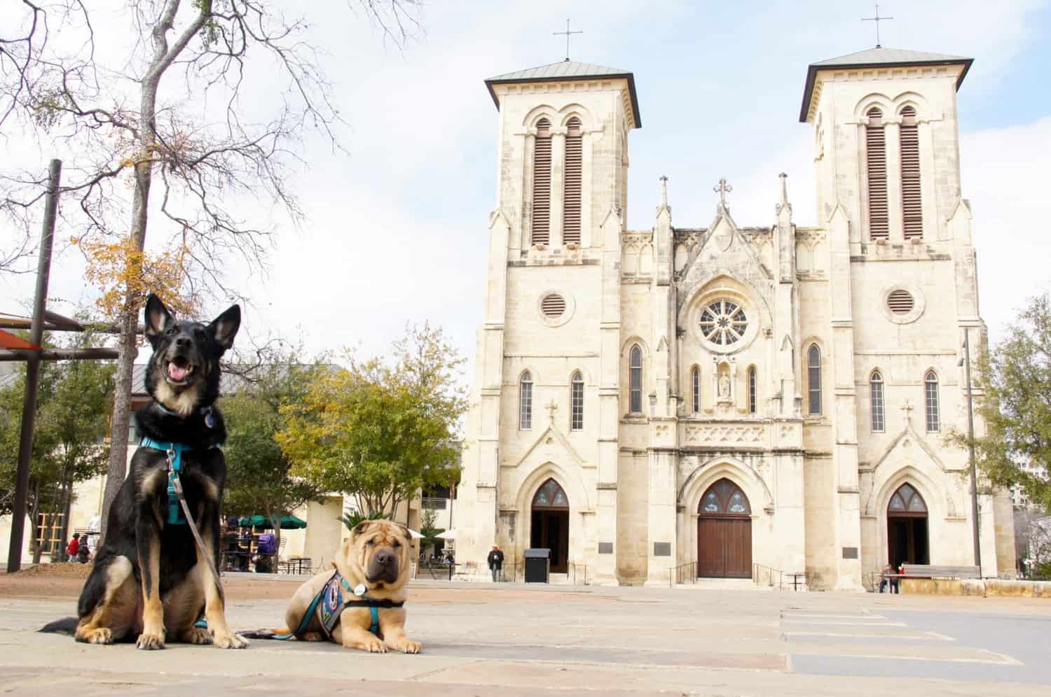 San Fernando Cathedral - San Antonio, TX