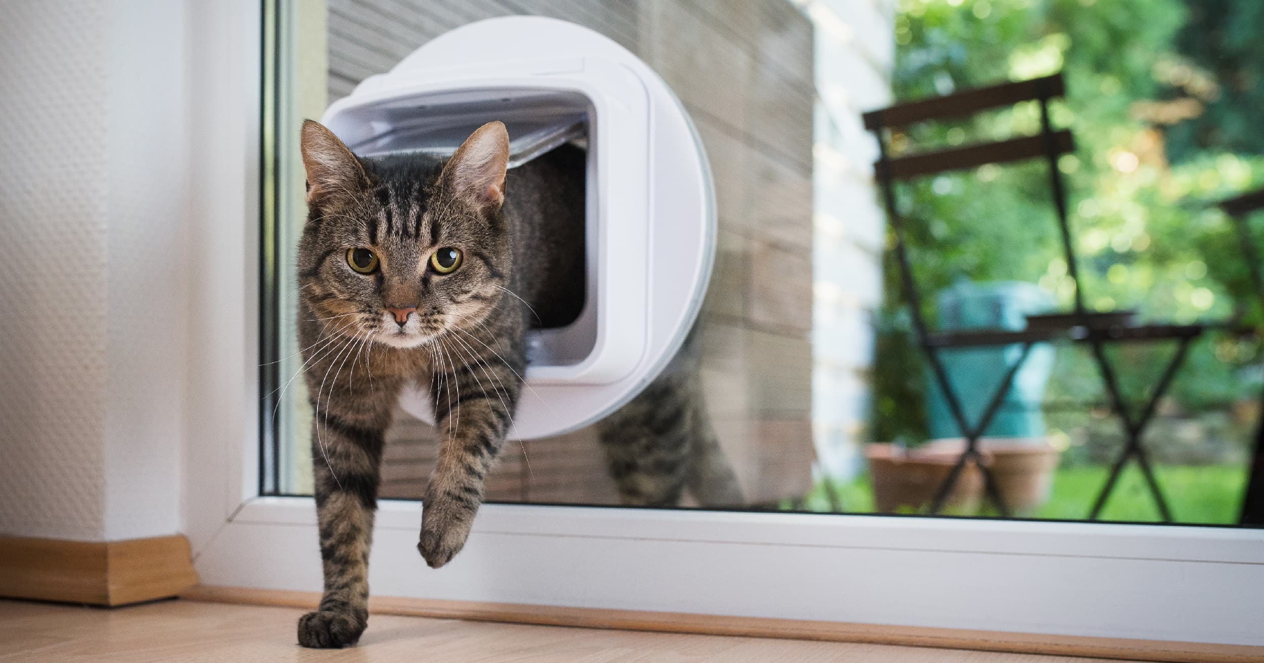 A cat entering a glass door through a cat door.