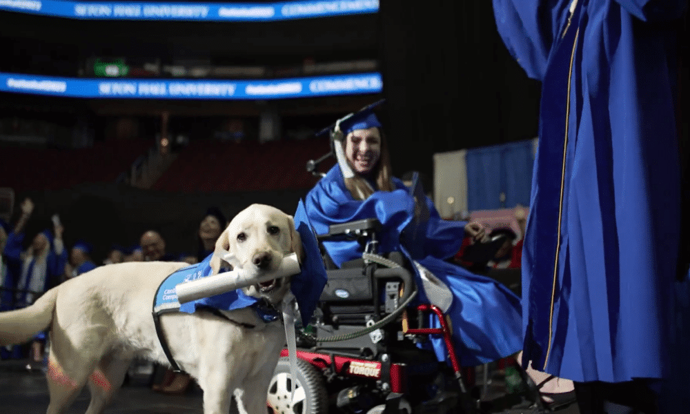 Service Dog Gets His Own Diploma After Accompanying Owner To All Her Classes