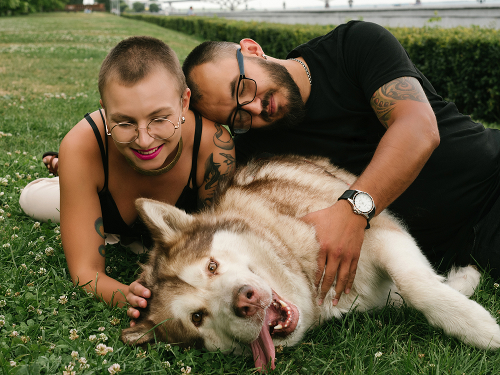 couple plays with large breed malamute dog in grass