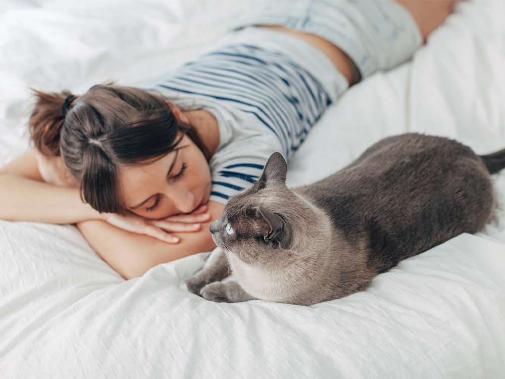 woman sleeping next to hypoallergenic cat