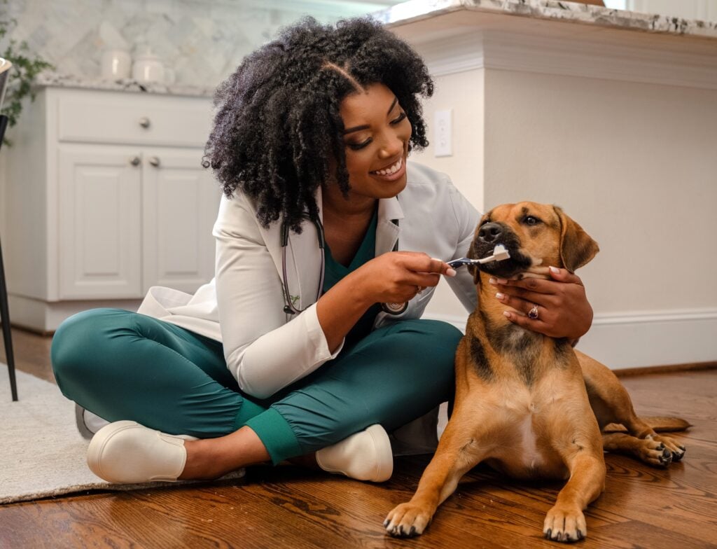 Ask Dr. Aziza: Should I Be Concerned About My Dog's Bad Breath?