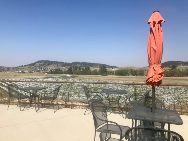 Pet friendly patio at Belle Joli Winery Sparkling House in Sturgis, SD