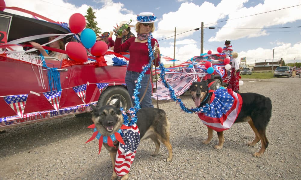 Dog-friendly Events You Can't Miss