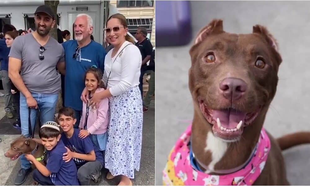 Family Reunites With Their Stolen Dog At Pet Adoption Event