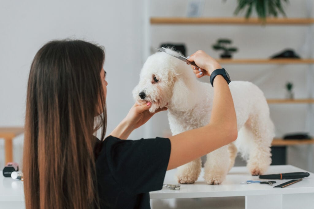 How Often You Should Be Grooming Your Dog