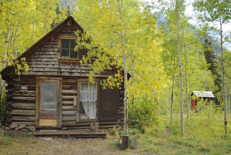 Pet friendly camping cabin in an aspen forest