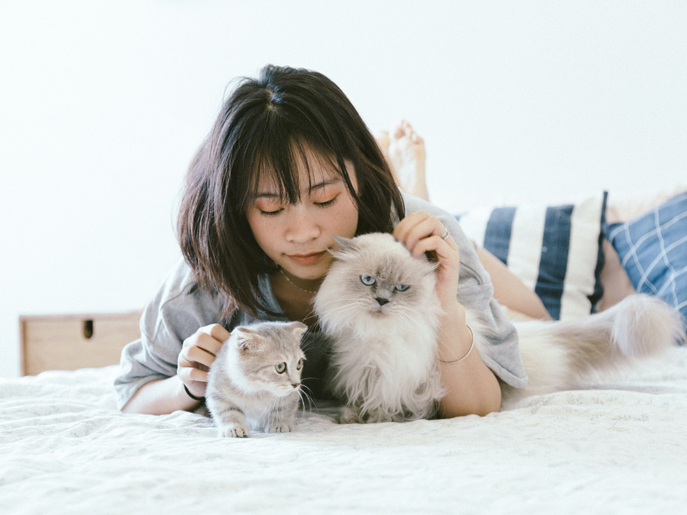 woman cuddles with cute grey cats