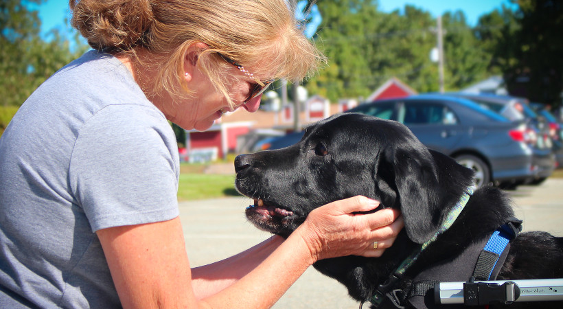 Caring for a senior dog as a senior