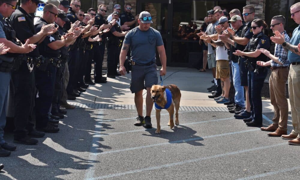 Police Dog Stabbed 12 Times By Burglarly Suspect Makes 'Remarkable Recovery'