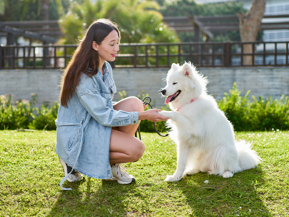 Woman with white dog getting her paw