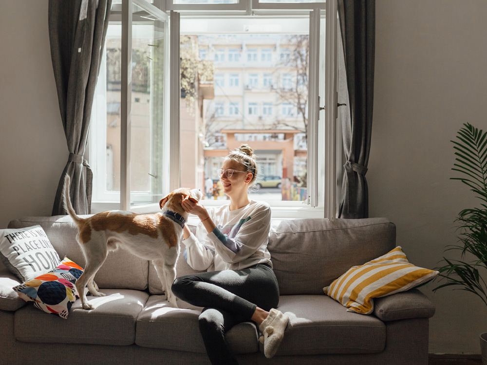 woman examines shelter pet