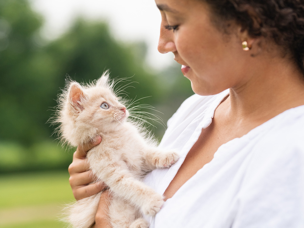 single kitten being held by foster mom