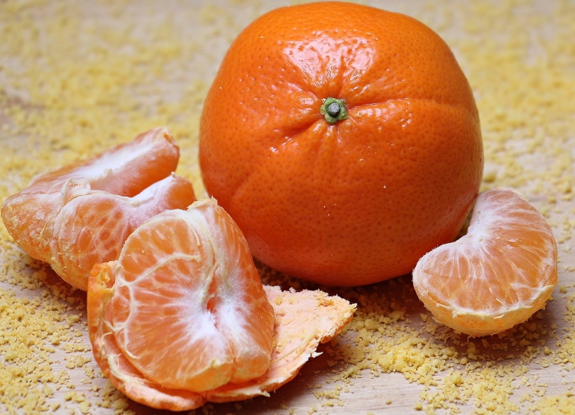 mandarin orange fruit