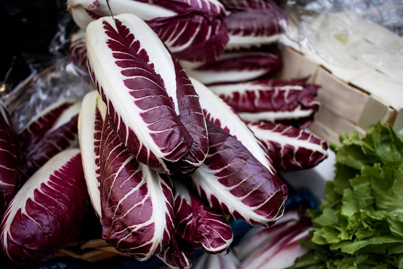 radicchio