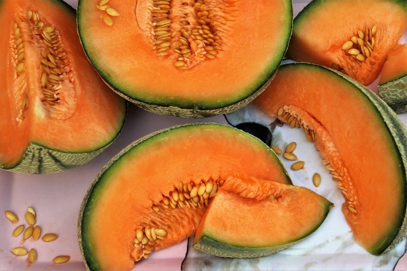 sliced cantaloupes with seeds