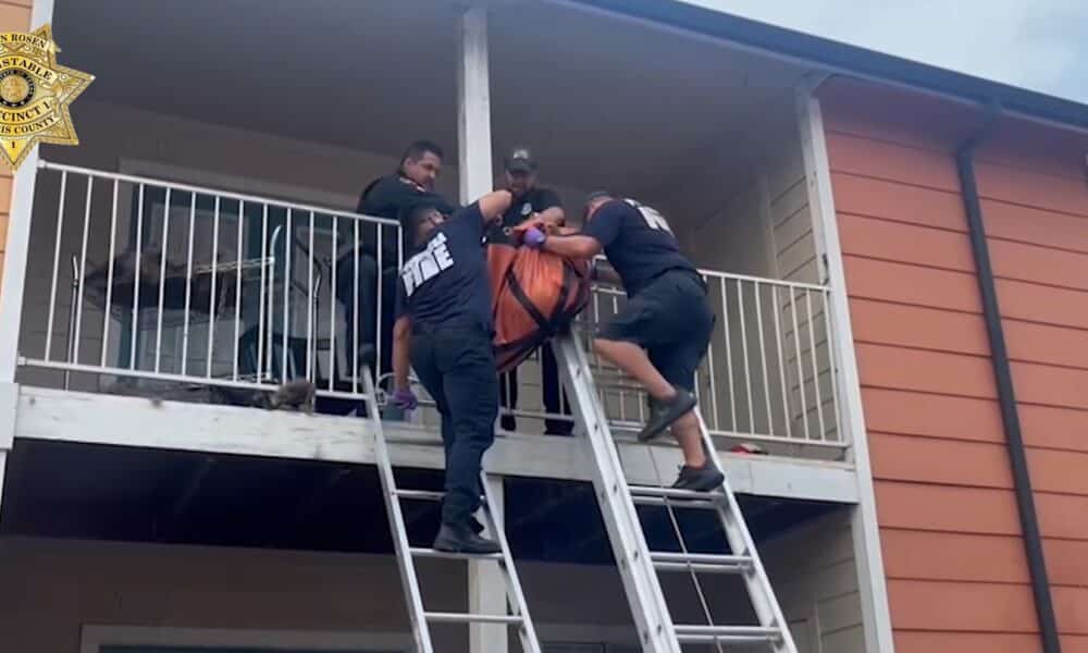 Dog Gets Rescued On Second Floor Balcony After Being Left By 'Out Of Town' Owner