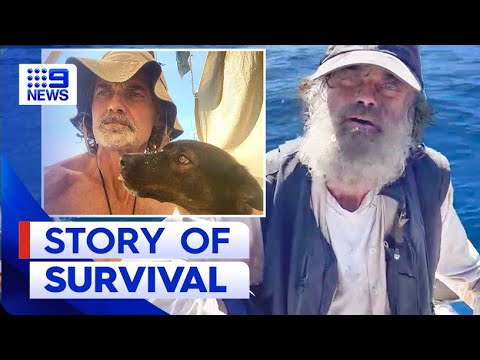 Rescued Dog Stranded For 3 Months At Sea With Sailor Gets Adopted