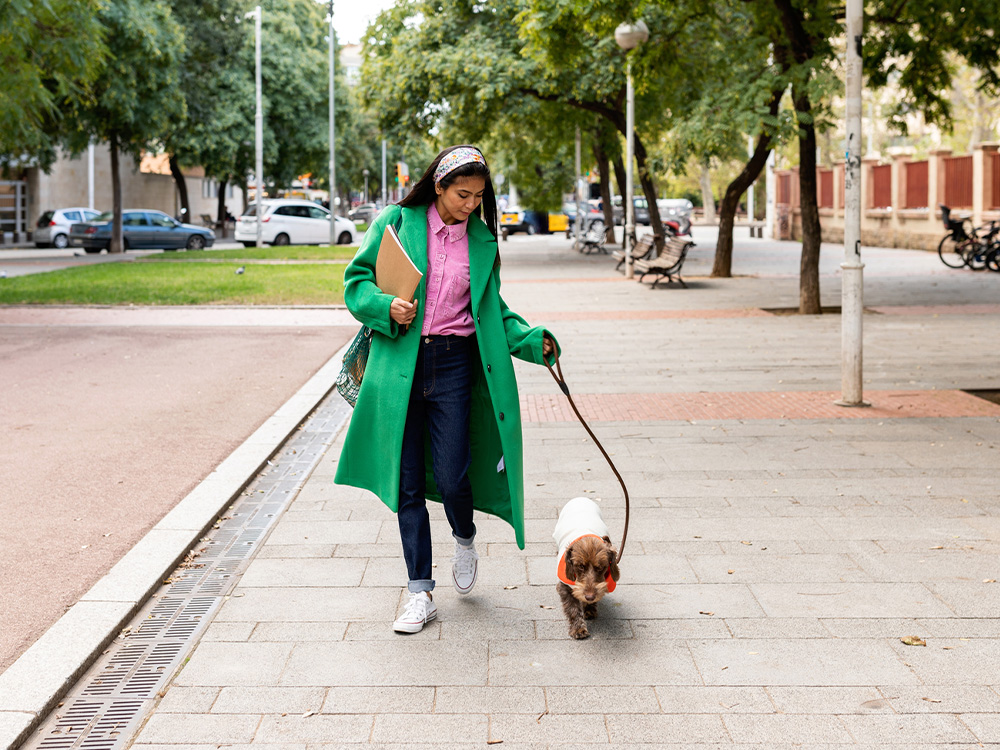 first time dog owner walking new dog on city sidewalk