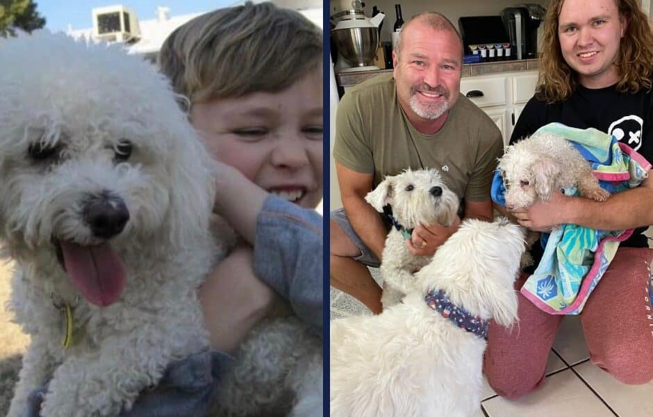 Dog Who Went Missing For 12 Years Reunites With Family