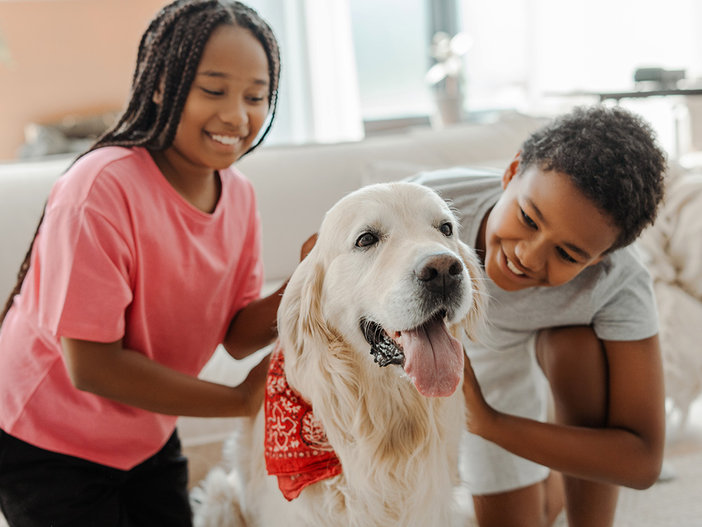 Two kids playing with Golden