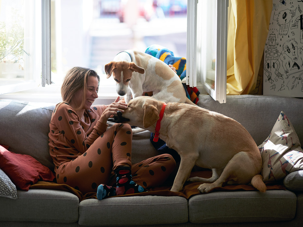 Two dogs bonded pair with adoptive parent