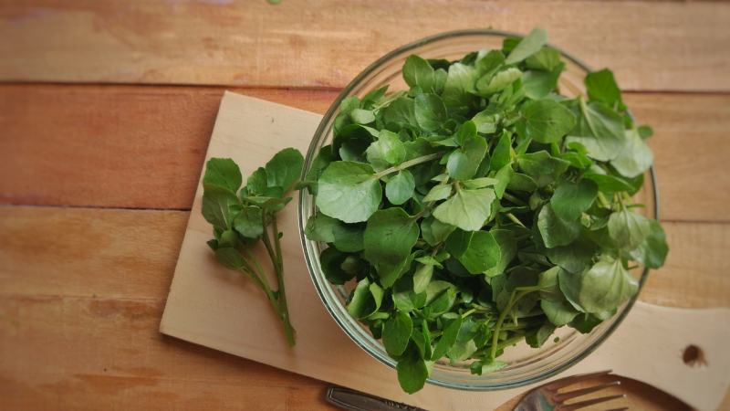 Fresh Watercress on bowl