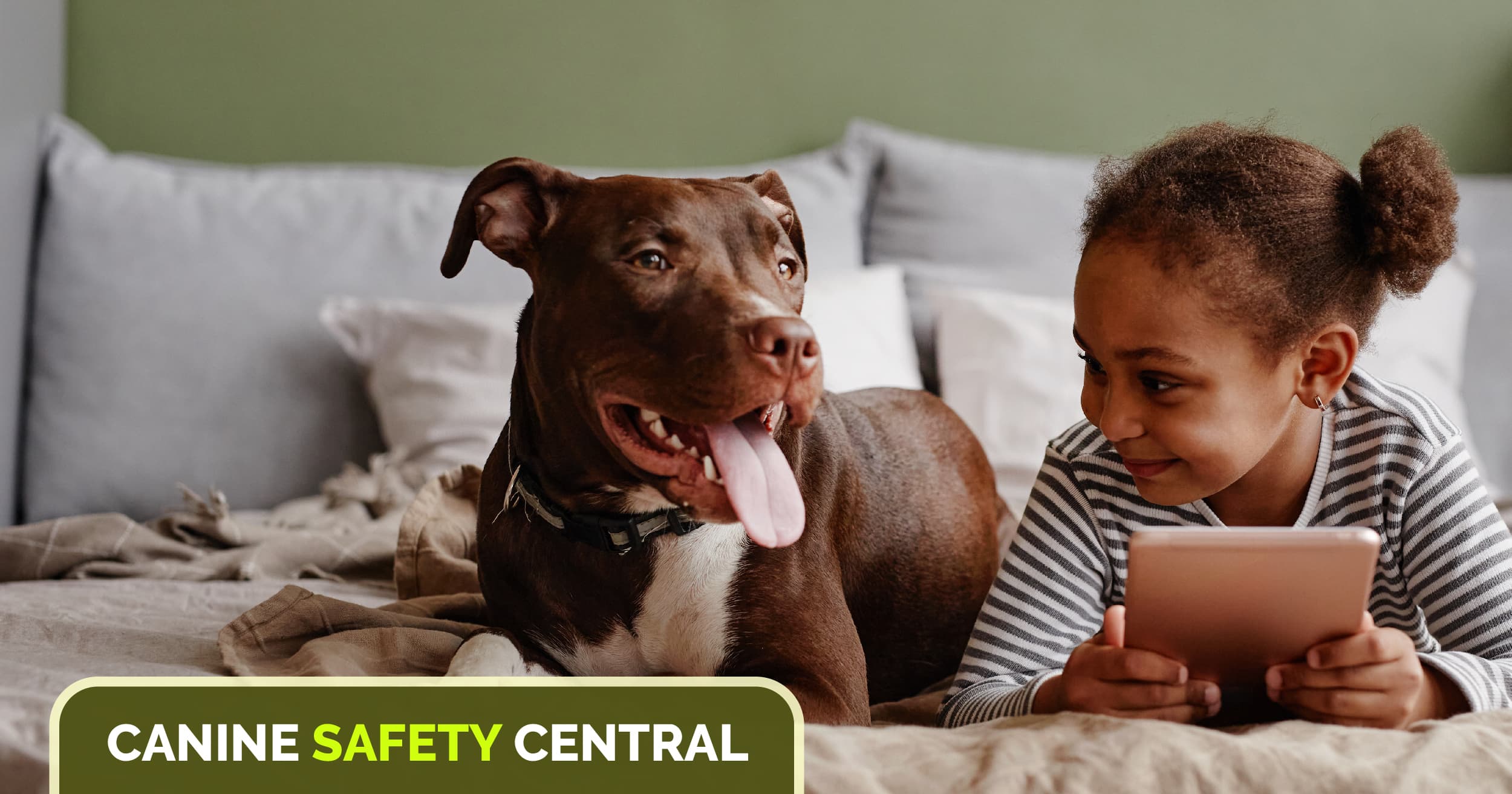 A brown dog lying on a bed next to a young girl.