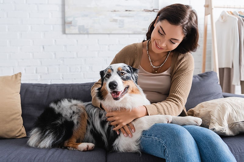 happy young woman cuddling australian shepherd dog while sitting on couch