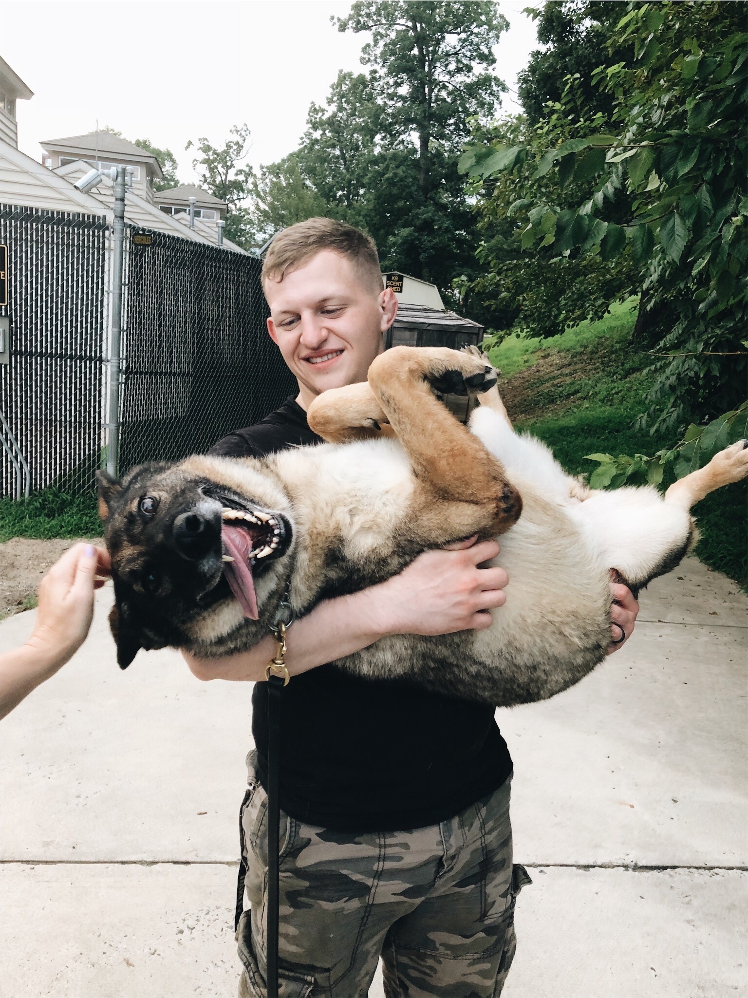 Saving Senior Working Dogs Who've Served America – Dogster