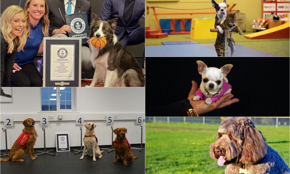 The Guinness World Records 2024 Features Some Of The Most Mind-Blowing Records Set By Dogs