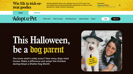 What's New at Adopt-a-Pet in October 2023