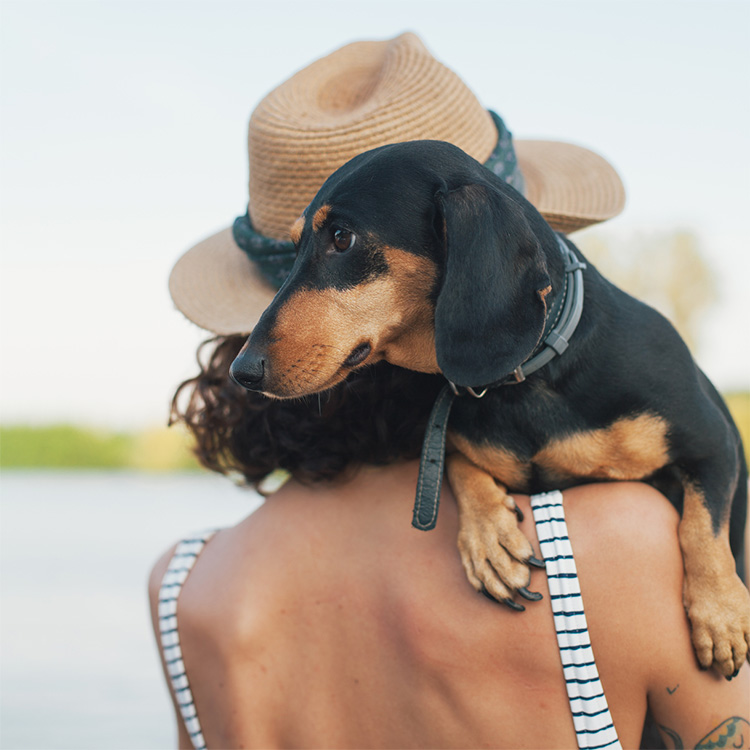 Woman holding black hound dog