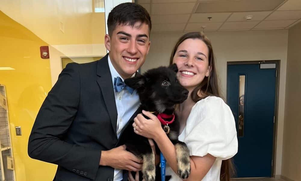 Couple Reschedules Wedding 2 Hours Earlier To Adopt A Dog