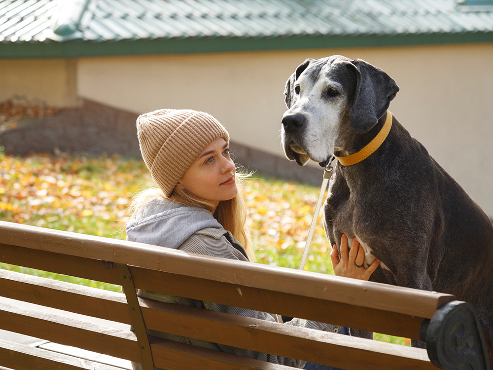 Woman looking up at senior dog