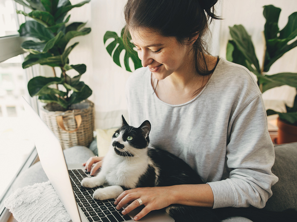 Woman on her computer looking to adopt a cat