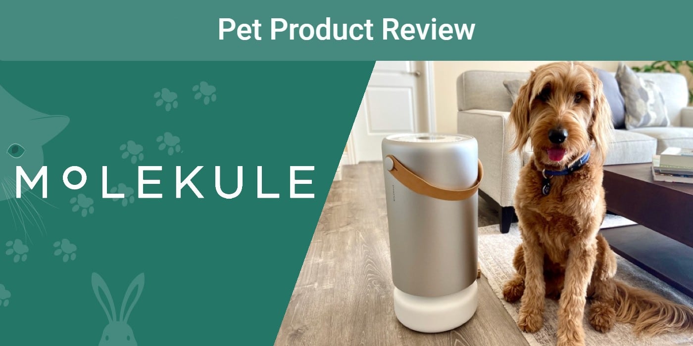 PK - Molekule Air Purifier SAPR