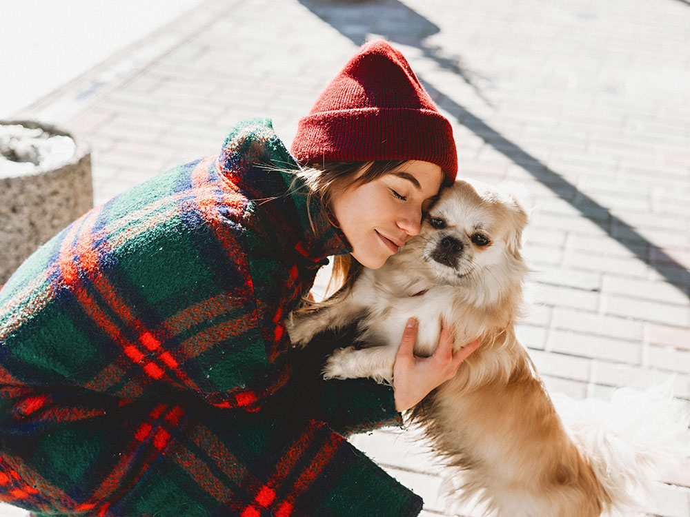 calm Tibetan spaniel and woman hug