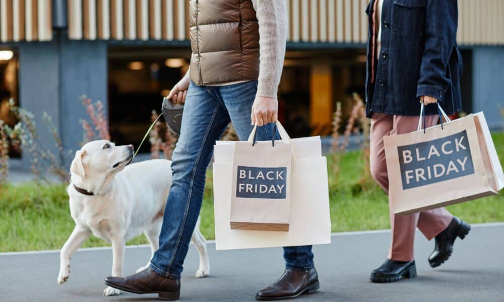 The Best Black Friday Dog Deals 2023