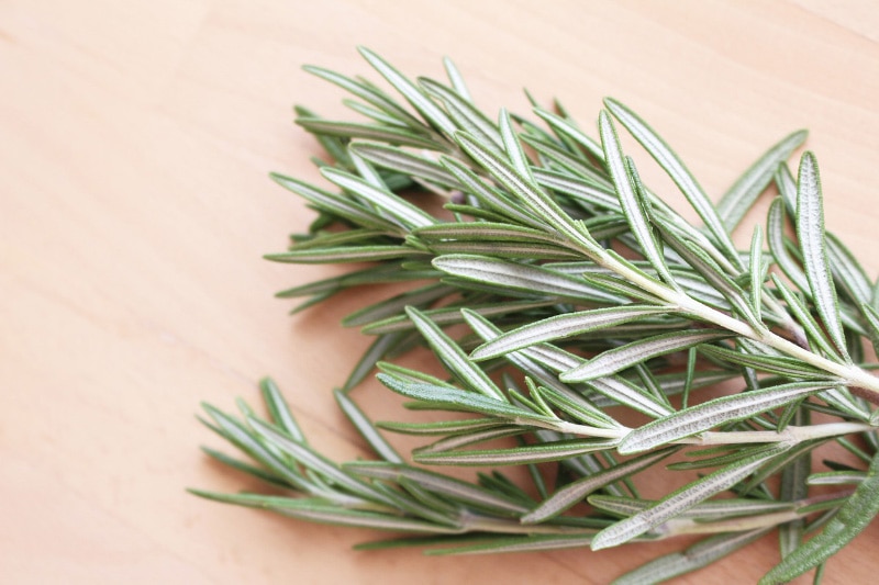 rosemary herbs on a table