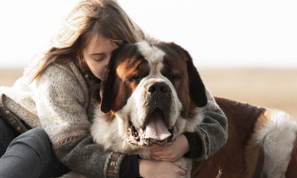 FDA Agrees On The Effectiveness Of Loyal's Longevity Medication For Large Dogs