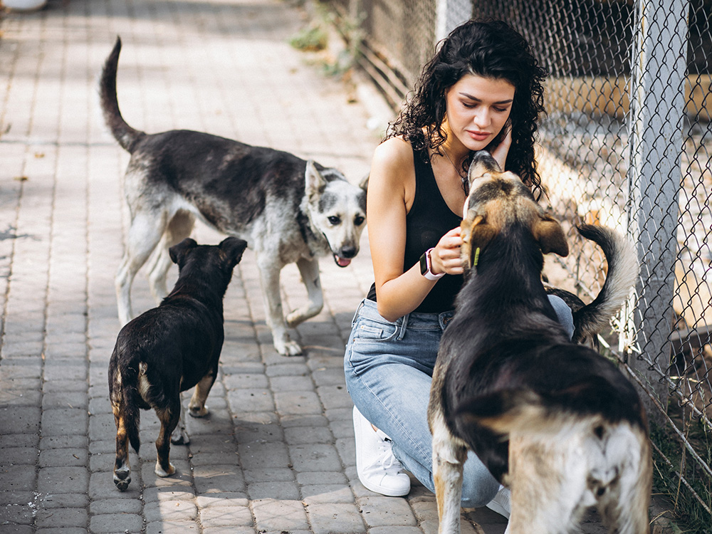 Woman visiting animal shelter