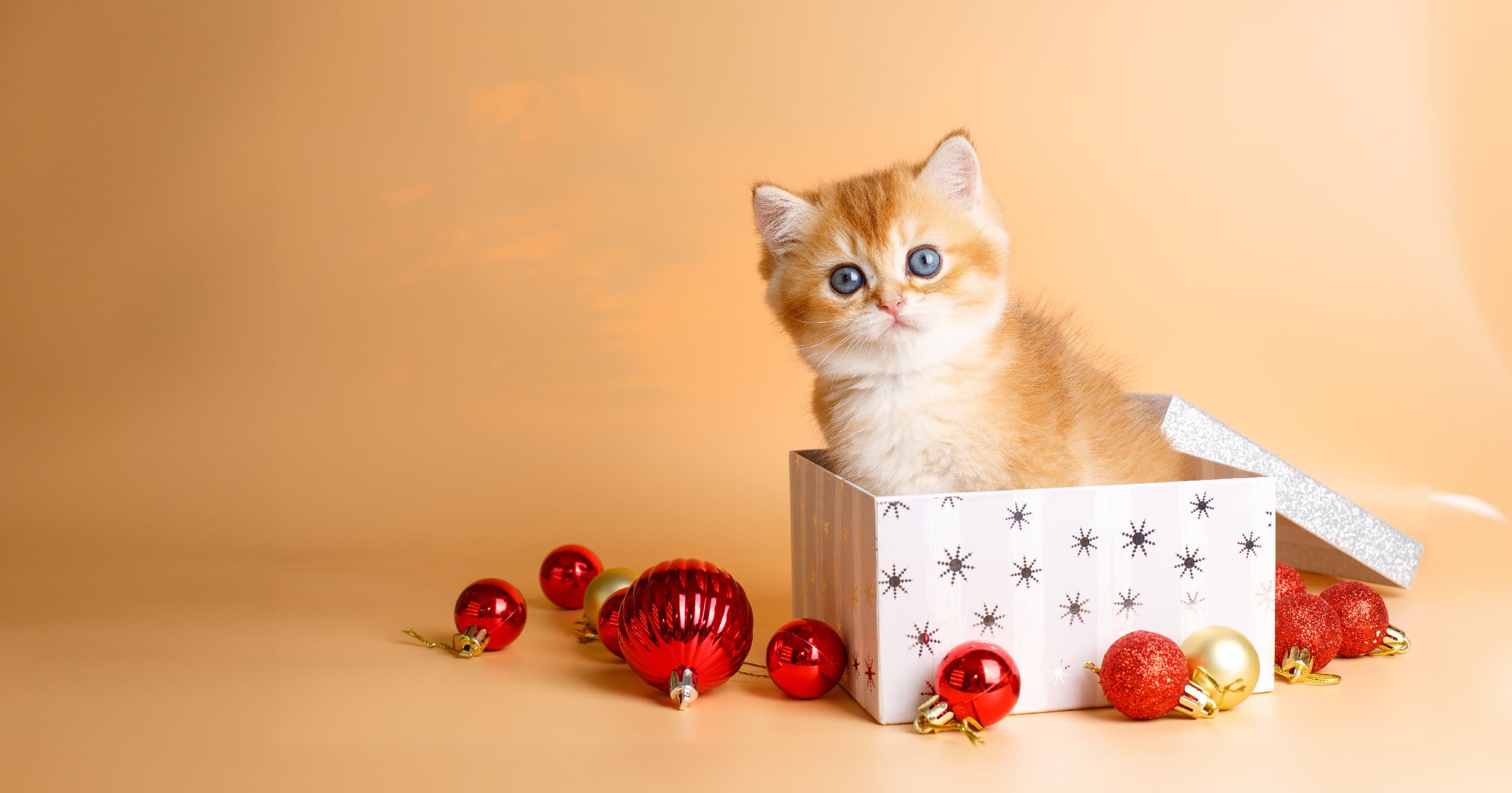 A small kitten sitting in an open gift box next to Christmas tree ornaments.