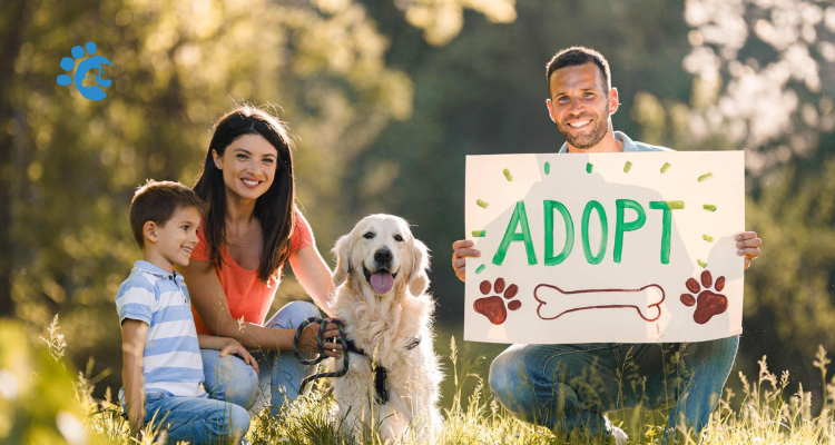 Adopting a Dog