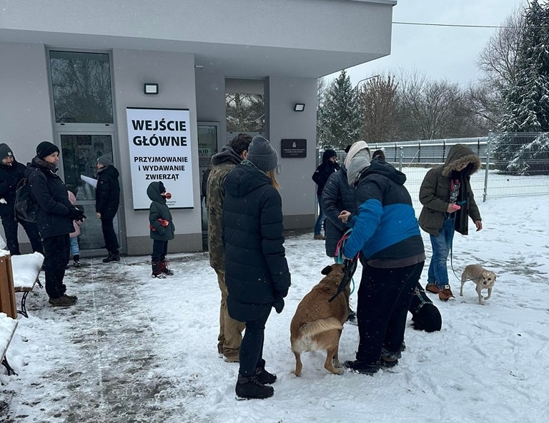 A Shelter in Poland Asked People to Adopt Dogs As Temperature Drops, Gets Overwhelming Response