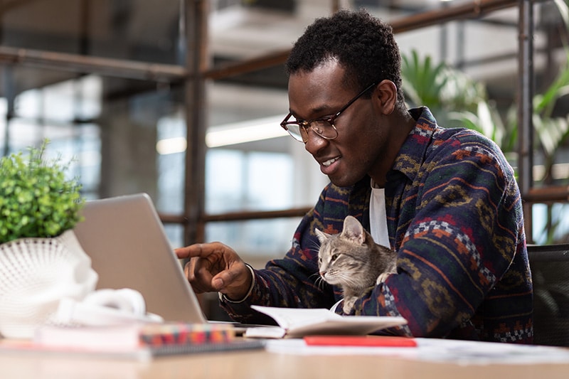 man took his cat to work