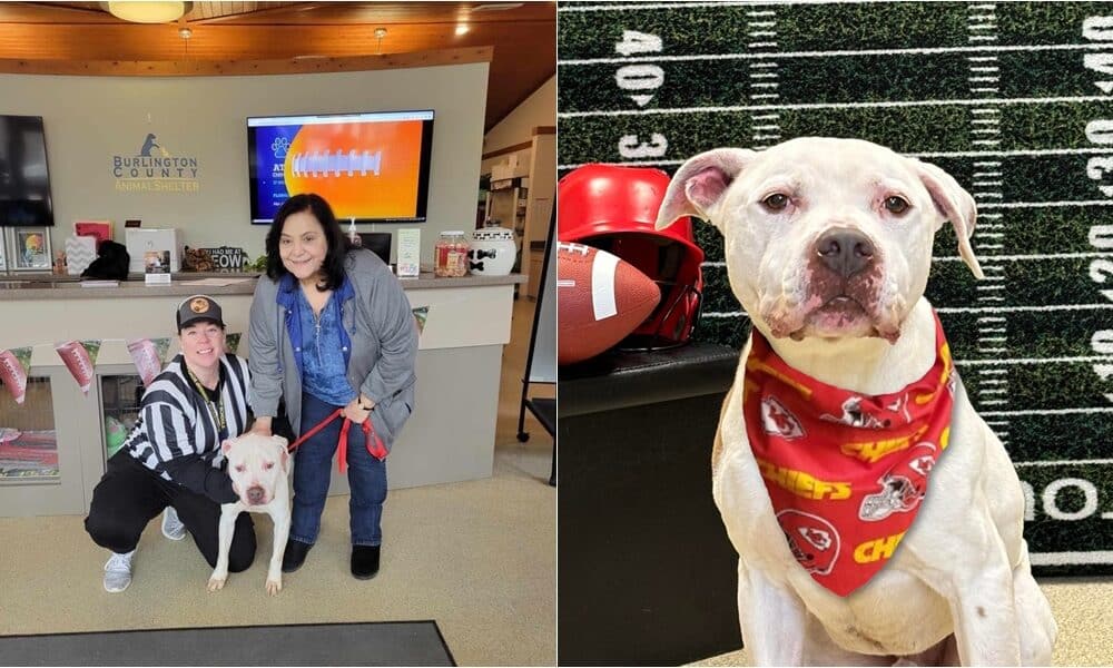 A Super Bowl-Themed Event Changed The Life Of A New Jersey Animal Shelter’s Longest Resident